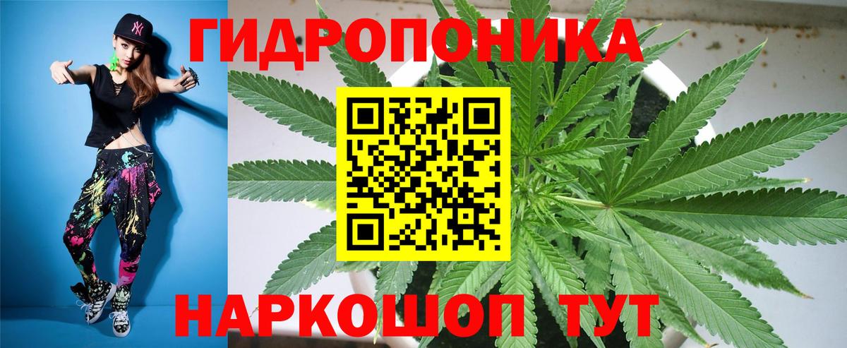 Канабис планчик Шебекино